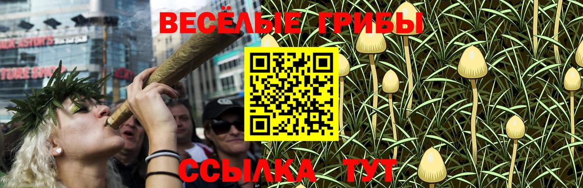 Галлюциногенные грибы мухоморы  Вход с VPN  Галлюциногенные грибы Psilocybe  Серпухов 