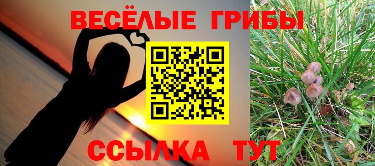 Галлюциногенные грибы Magic Shrooms Серпухов
